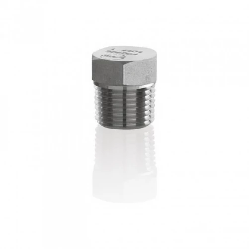Pipe Plugs