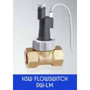 HSW Durchflussschalter Typ DW-LM-40 (A)