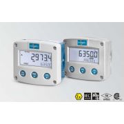 Fluidwell Serie F - F030 a sicurezza intrinseca - Controllore di batch