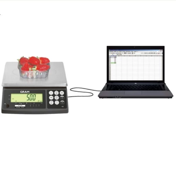 GRAM RZ digitale weegschaal 6000g, 15000g, 30000g - Imagem 5