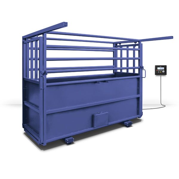 GRAM K3 ZEBRA – Image 6