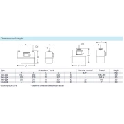 Alternative view of 20 mm membraangasmeter / Qmax 6 m3/h
