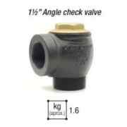 Alternative view of ANGLE CHECK VALVES