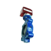 MDH-000XX-3-BFV-LCD4BCPH300