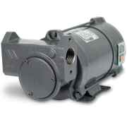 Explosionsskyddad elektrisk pump | IRON-50 Ex-24 VDC